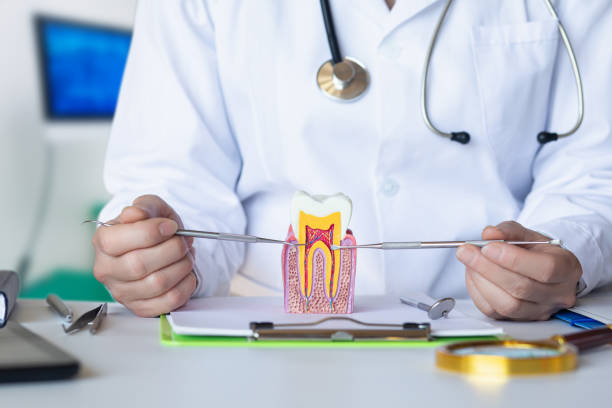 Best Emergency Gum Treatment in Stanaford, WV
